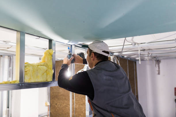 Best Radiant Barrier Insulation  in Union Hill Novelty Hill, WA